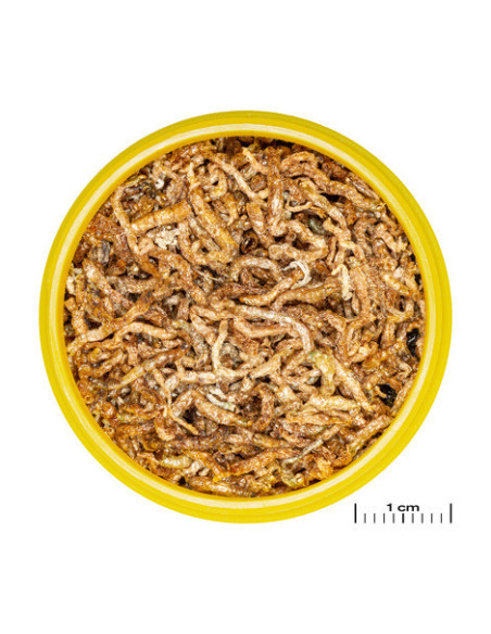 JBL - ProNovo FIL 100ml