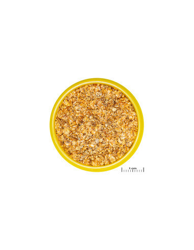 JBL - ProNovo DAPH 100ml