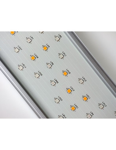 Twinstar Light IV 900EA (ajustable)