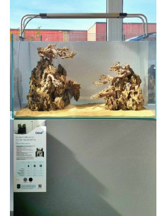 Hardscape Canyon Forest M - Clé en main 2