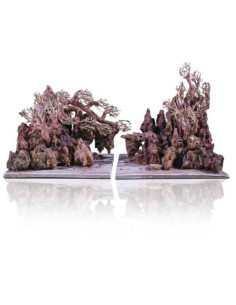 Hardscape Canyon Forest M - Clé en main