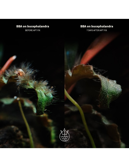 The 2Hr Aquarist - APT Fix 300ml