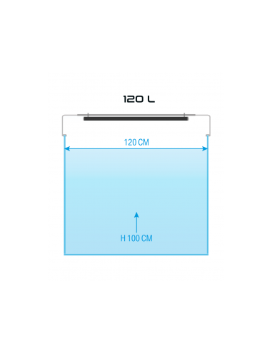 Skylight - Stand HYPERSPOT F/R