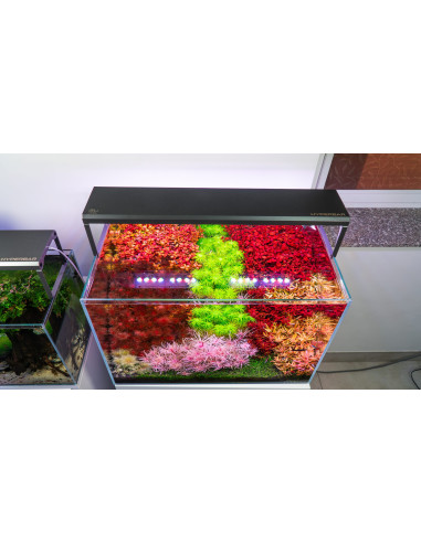 Skylight - HYPERBAR FM.45