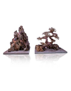 Hardscape Canyon Forest S - Clé en main