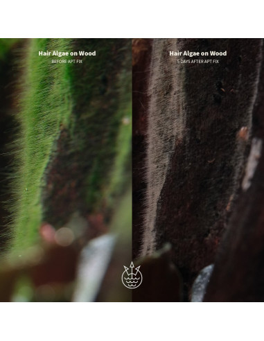 The 2Hr Aquarist - APT Fixlite 300ml