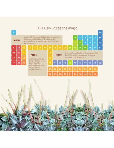 The 2Hr Aquarist - APT dew 300ml