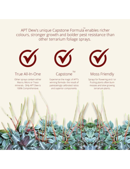 The 2Hr Aquarist - APT dew 300ml