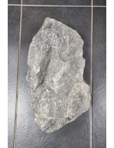 Dark Seiryu stone xxl 2