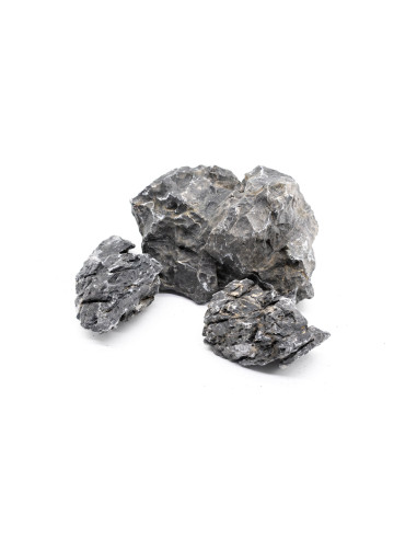 Seiryu Stone -Taille M - 10 à 15cm