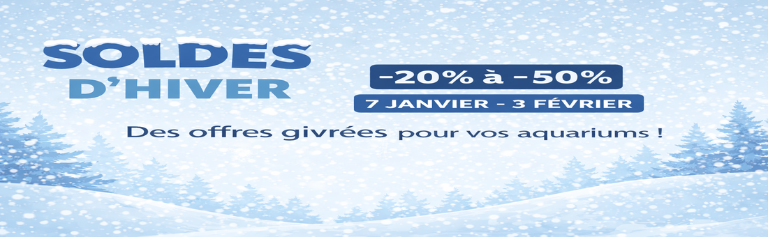 solde hiver